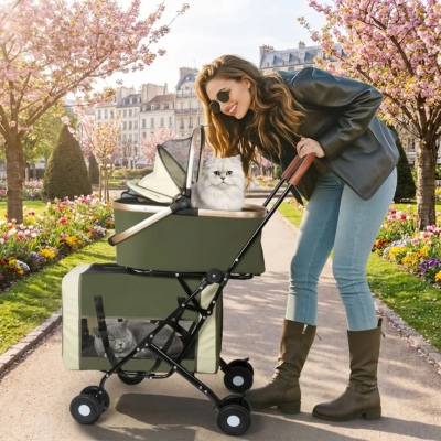 poussette chats double pour la marche