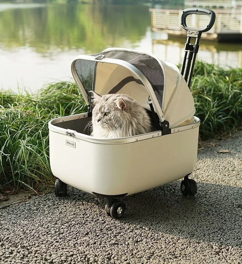 poussette pour chat Auvent blanc main coon