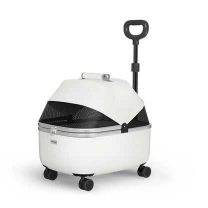 poussette pour chat Auvent blanc photo