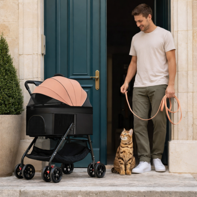 poussette pour chat pour la balade