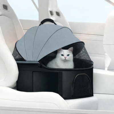 poussette pour chat voiture