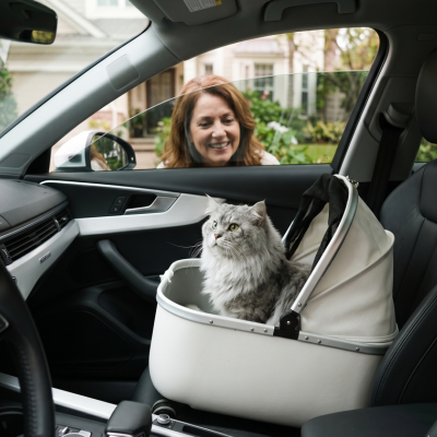 poussette pour chat voiture