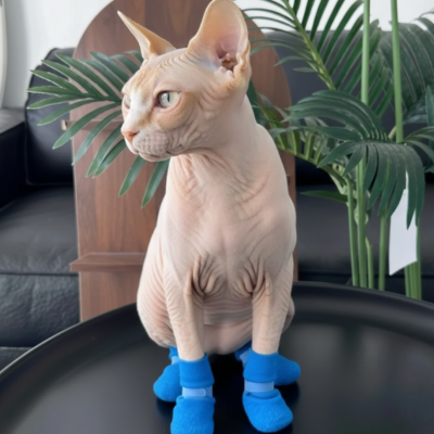 protège-pattes chat bleu sur sphynx