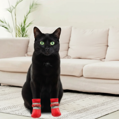 protège-pattes chat rouge sur chat noir