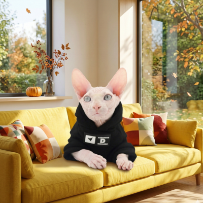 pull pour chat sphynx Sweat Mode chat sur canapé
