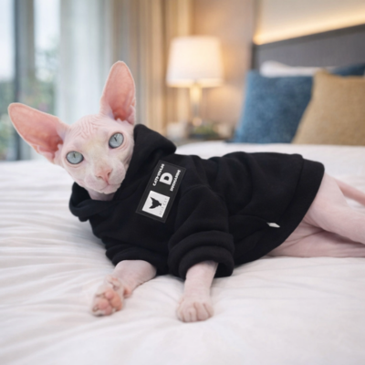 pull pour chat sphynx Sweat Mode sur lit
