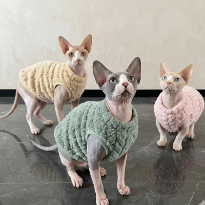 pulls pour chats sphynx douillet sur trois chats