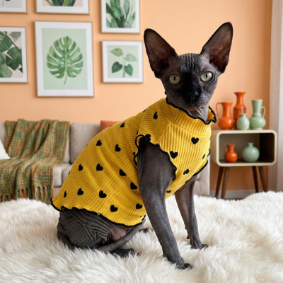 robe pour chat sphyn jaune