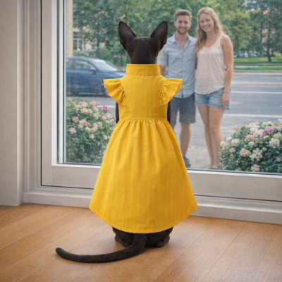 robe pour chat sphynx mignonne jaune vue de dos