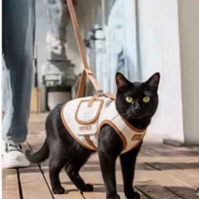 sac de transport chat Hipipet beige sur chat noir avec laisse