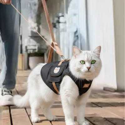 sac de transport chat Hipipet noir avec laisse