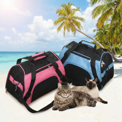 sac de transport chat portable bleu et rose sur la plage