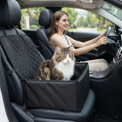 siège auto chat surélevé sur la banquette avant