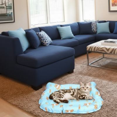 tapis rafraîchissant ludique bleu au sol