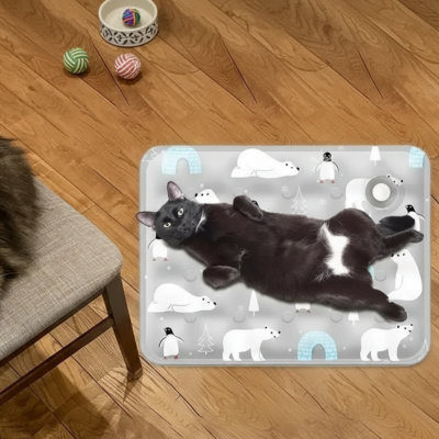 tapis rafraîchissant chat polaire gris au sol