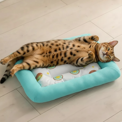 tapis rafraîchissant chat Fruit estival écume au sol