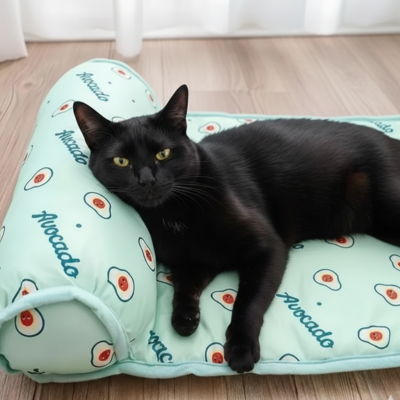 tapis rafraîchissant vert avec oreiller