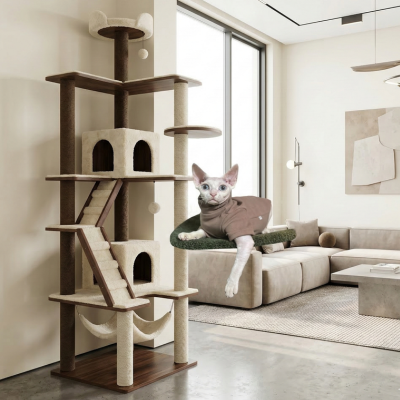 vêtements pour chat sphynx brun