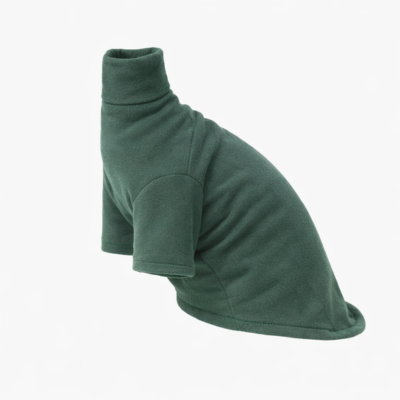 vêtements pour chat sphynx en coton vert