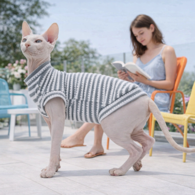 vêtements pour chat sphynx rayé gris sur chat